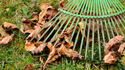 Trädgårdsavfall